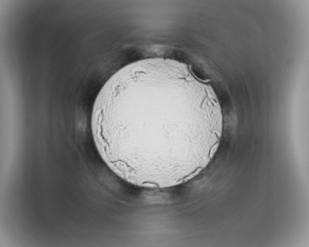 X0000111630331200908071416