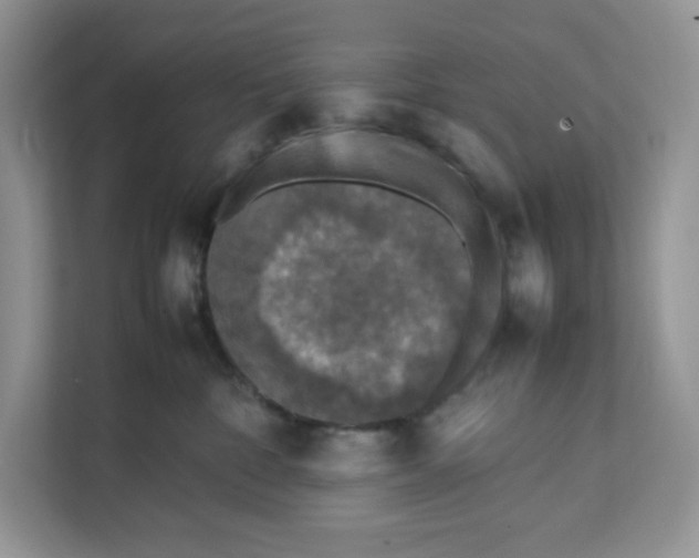 X0000111630332200908071416