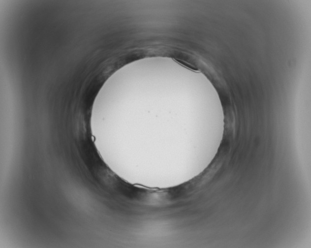X0000111630333200908071416