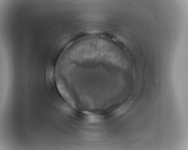X0000111630336200908071416