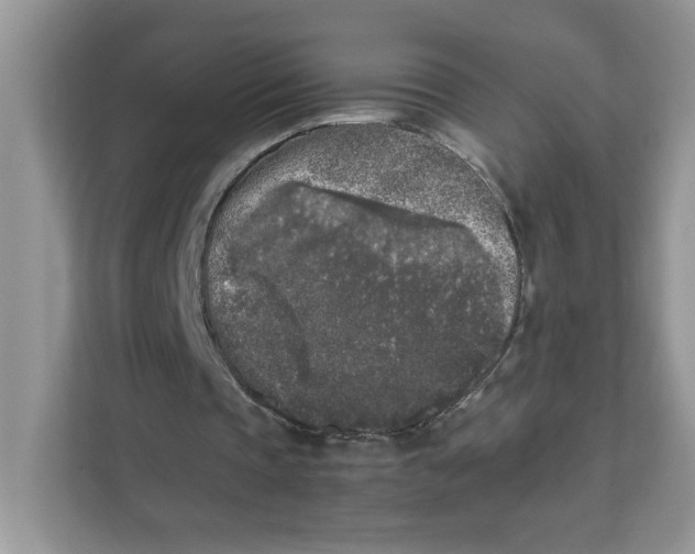 X0000111630337200908071415