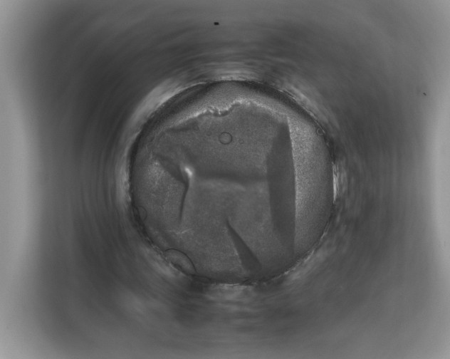 X0000111630339200908071415