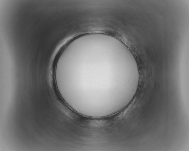 X0000111630342200908071416