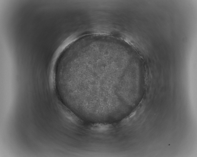 X0000111630343200908071416