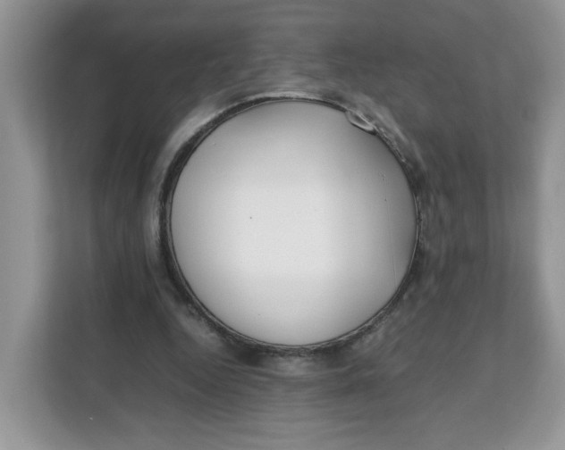 X0000111630344200908071416