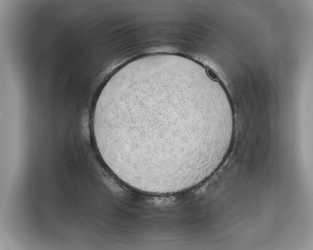 X0000111630345200908071416