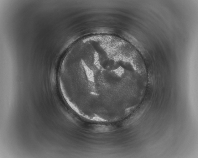 X0000111630347200908071416