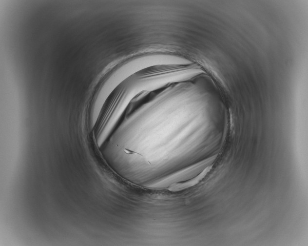 X0000111630348200908071416
