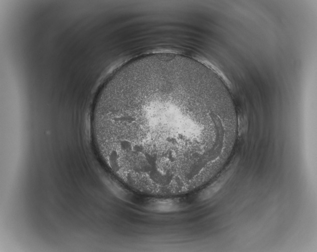 X0000111630349200908071416