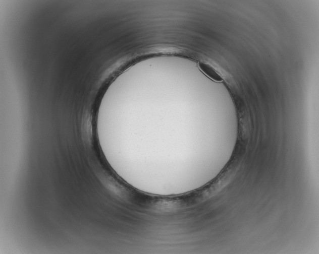 X0000111630350200908071416