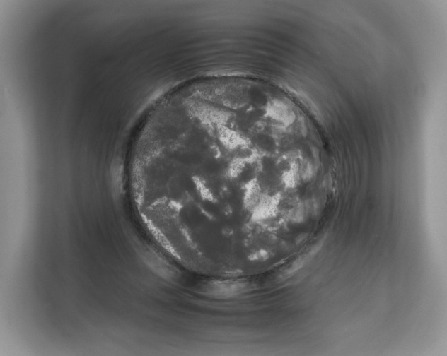 X0000111630351200908071416