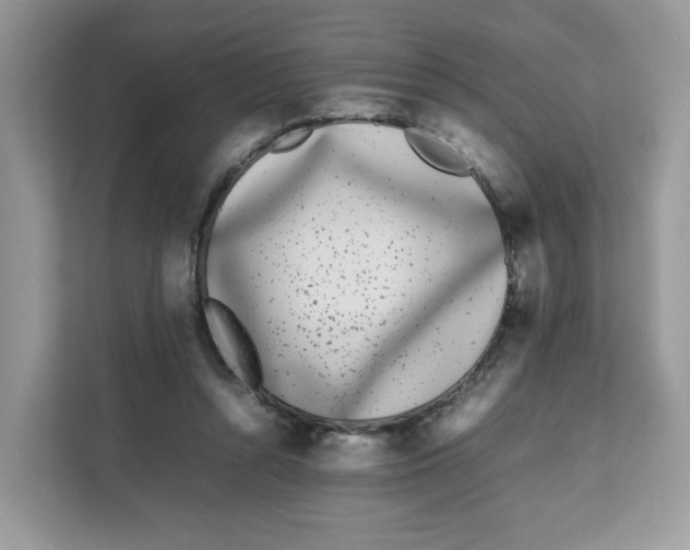 X0000111630352200908071416