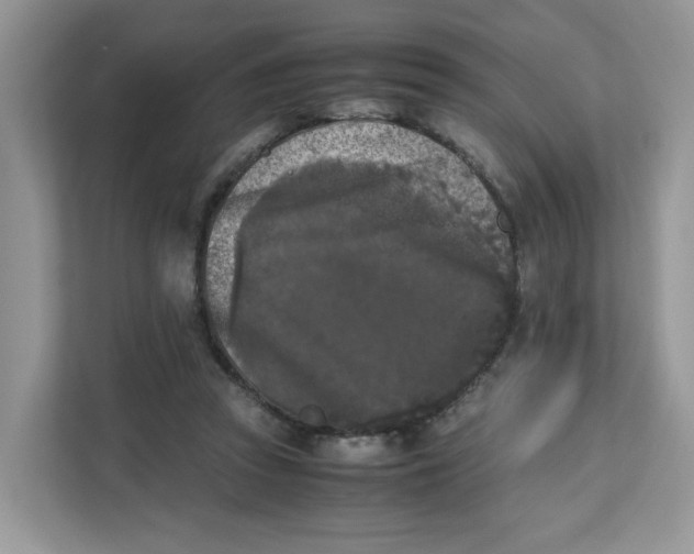 X0000111630353200908071416