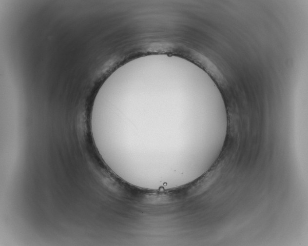 X0000111630354200908071416