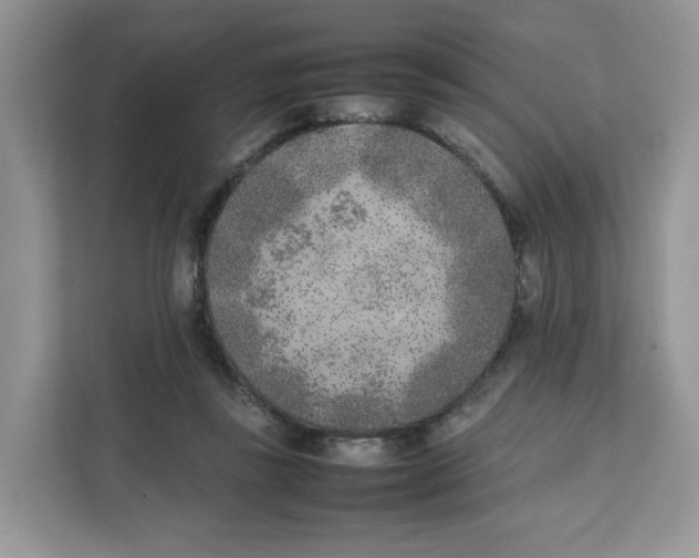 X0000111630355200908071416