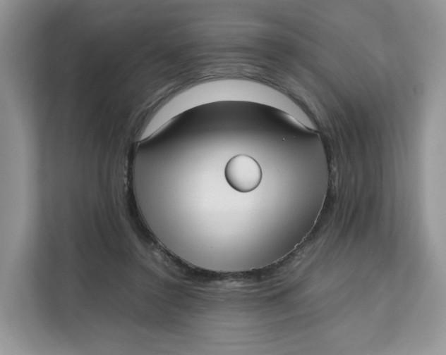 X0000111630356200908071416