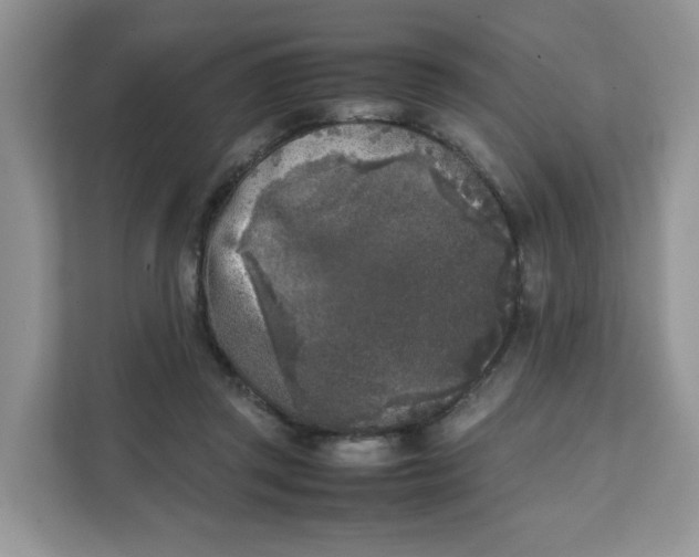 X0000111630357200908071416