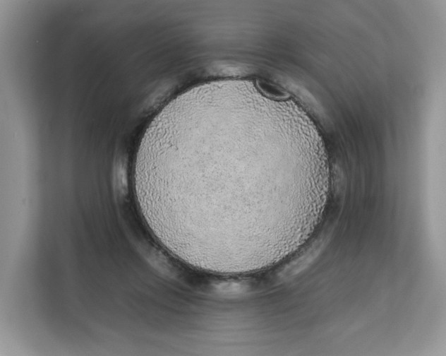 X0000111630358200908071416