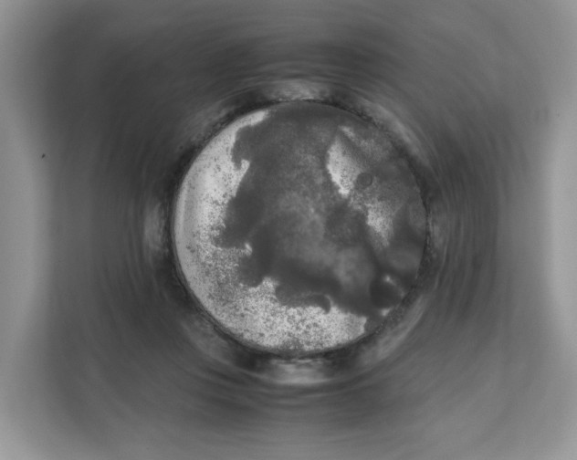 X0000111630359200908071416