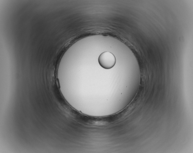 X0000111630360200908071416