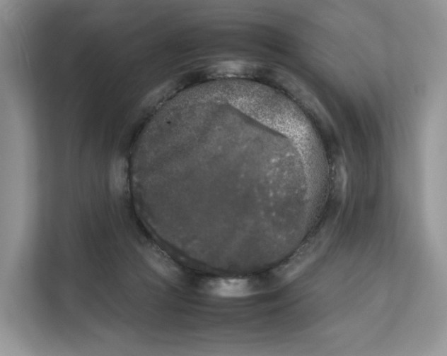 X0000111630361200908071416