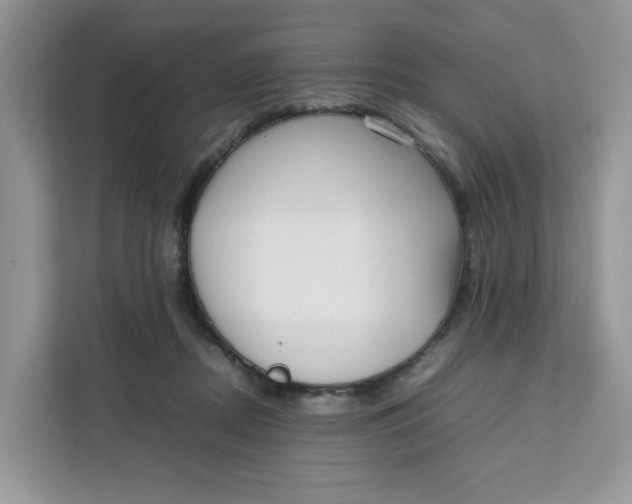 X0000111630362200908071416