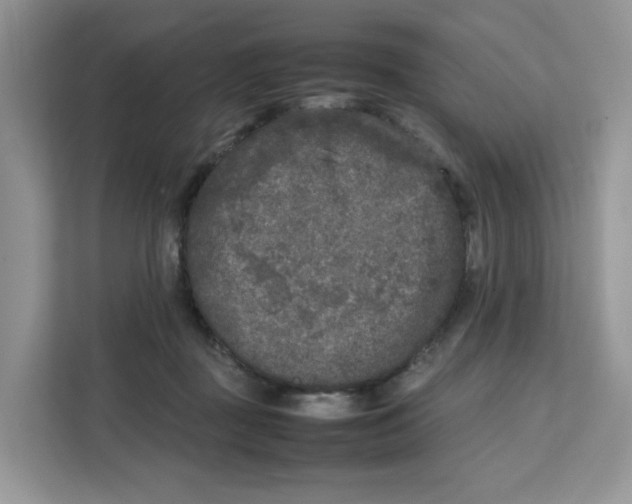 X0000111630363200908071416