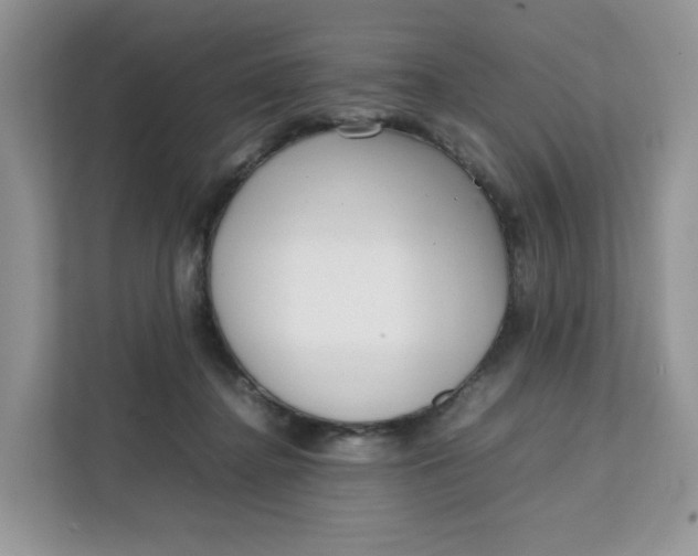 X0000111630364200908071416
