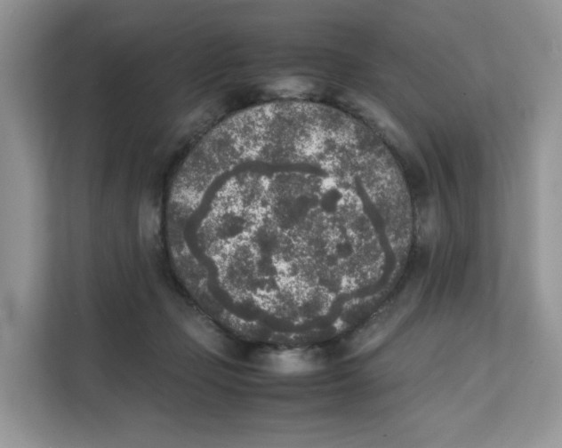 X0000111630365200908071416