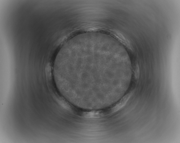 X0000111630366200908071416