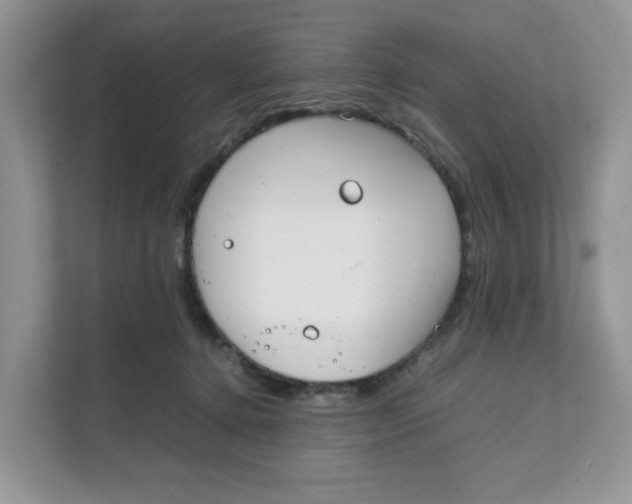 X0000111630368200908071416