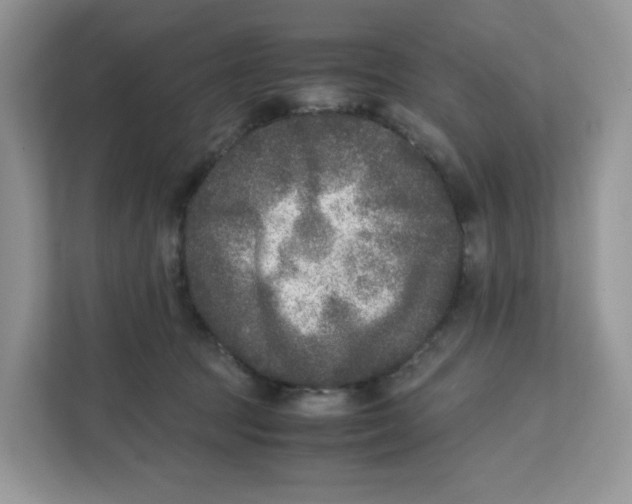 X0000111630369200908071416