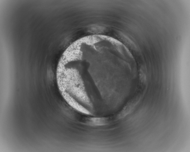 X0000111630371200908071416