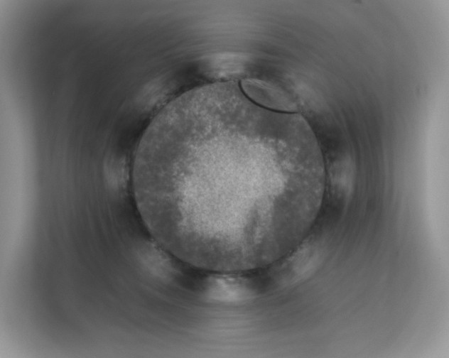 X0000111630372200908071416