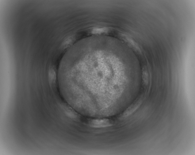 X0000111630375200908071416