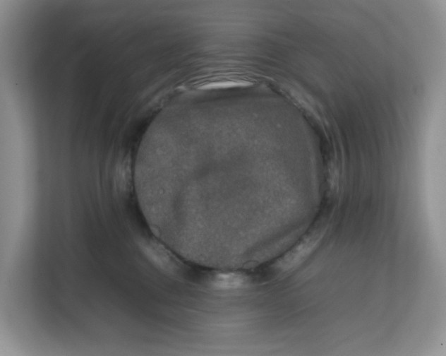 X0000111630376200908071416
