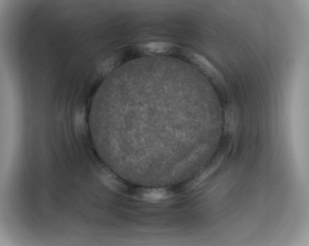 X0000111630377200908071416