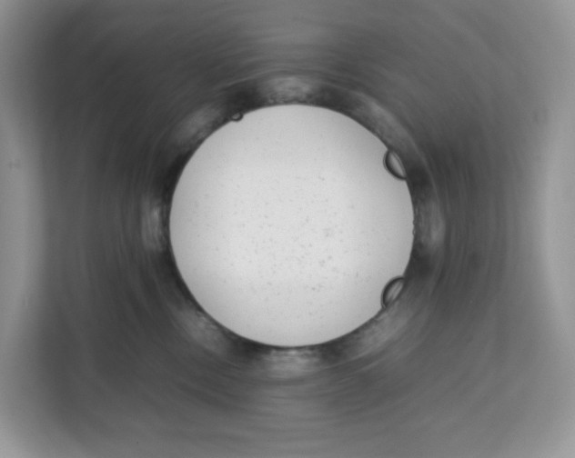 X0000111630378200908071416