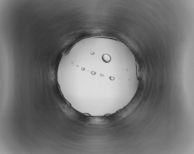 X0000111630380200908071416