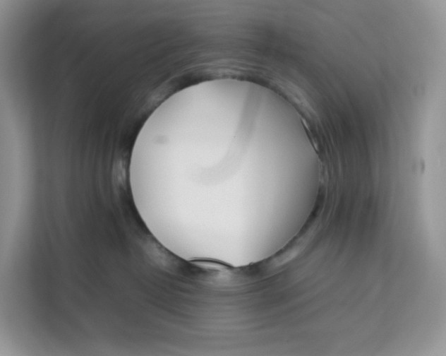 X0000111630382200908071416