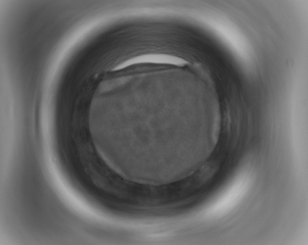 X0000111630383200908071416
