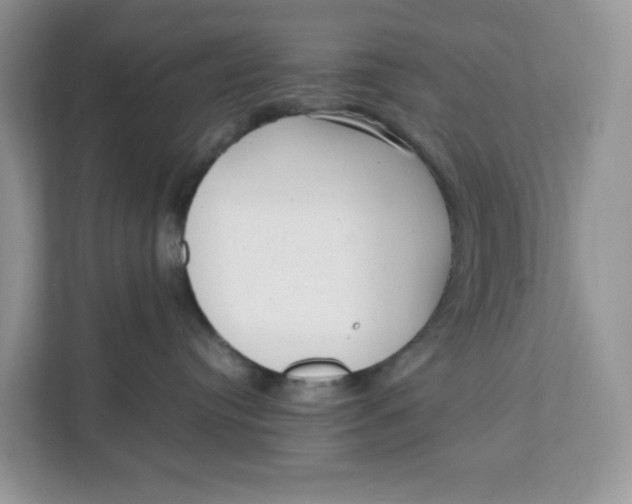X0000111630384200908071416