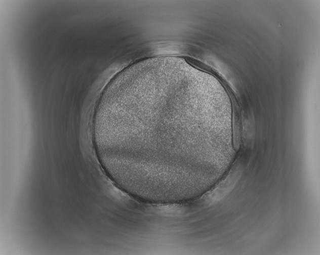 X0000111630385200908071415