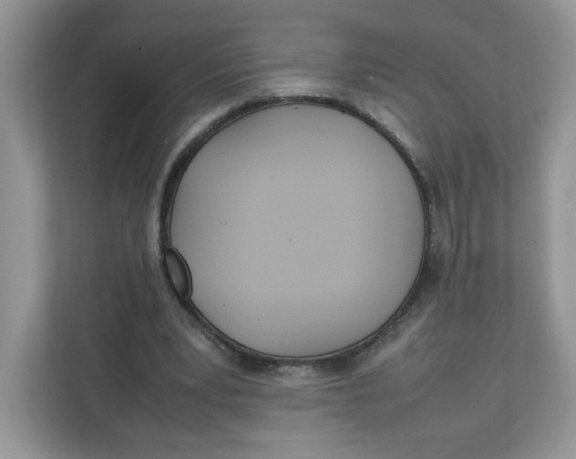 X0000111630391200908071415
