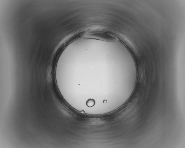 X0000111630392200908071415