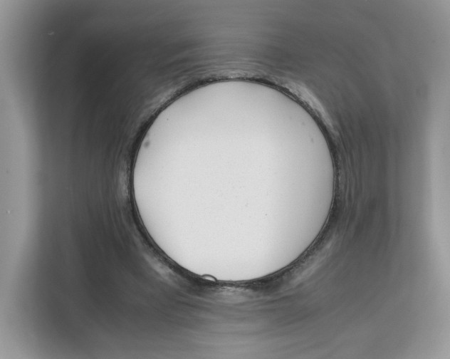 X0000111630393200908071415
