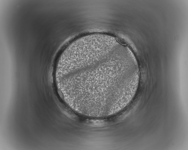 X0000111630395200908071415
