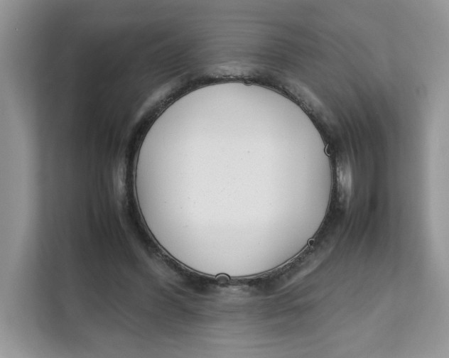 X0000111630396200908071415