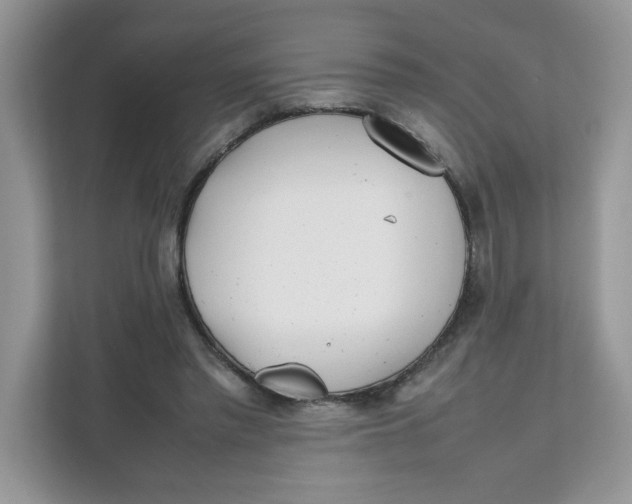 X0000111630397200908071415