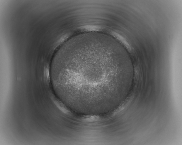 X0000111630398200908071415
